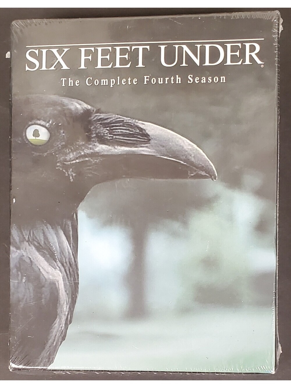 Six Feet Under: The Complete Fourth Season DVD Box Set New Sealed